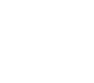 icon2